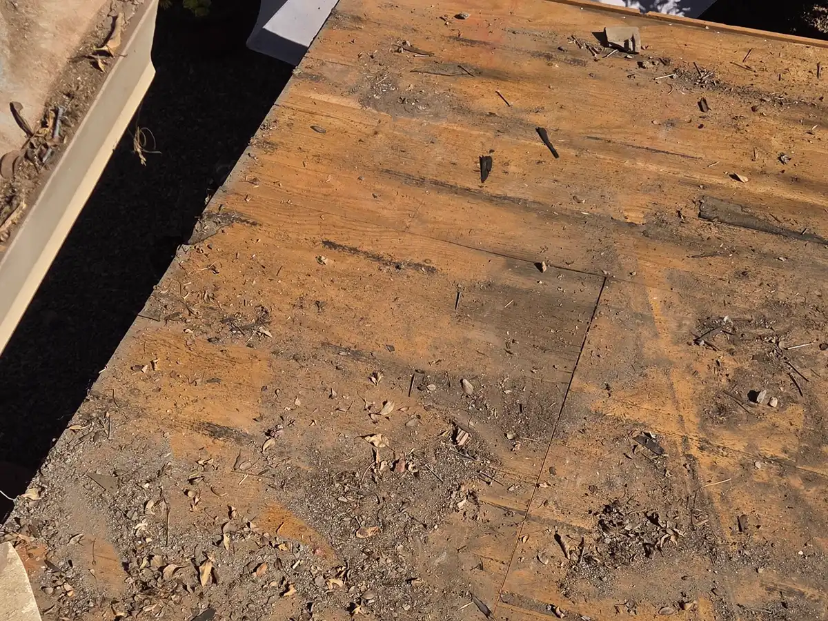 New plywood roof decking installed by A1 Roofing before dry-in